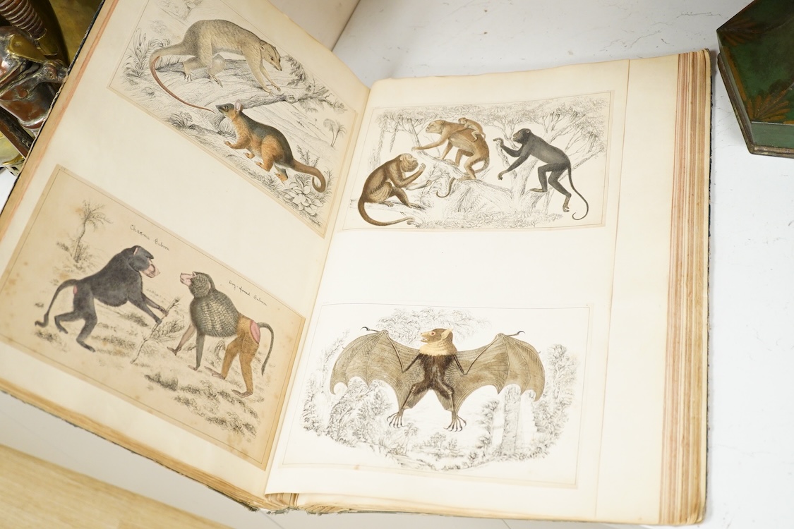 A Victorian scrap book to include hand coloured zoological engravings, together with three books to include ‘The Kings Lyrics’, published 1900